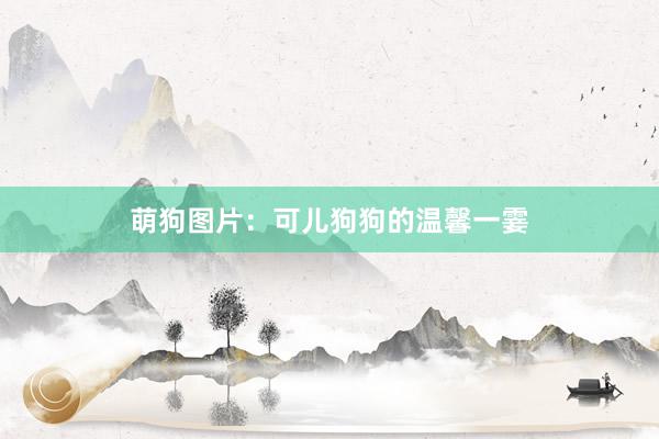 萌狗图片：可儿狗狗的温馨一霎