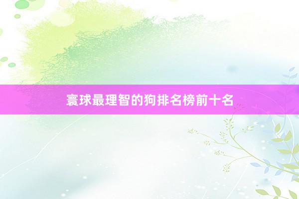寰球最理智的狗排名榜前十名
